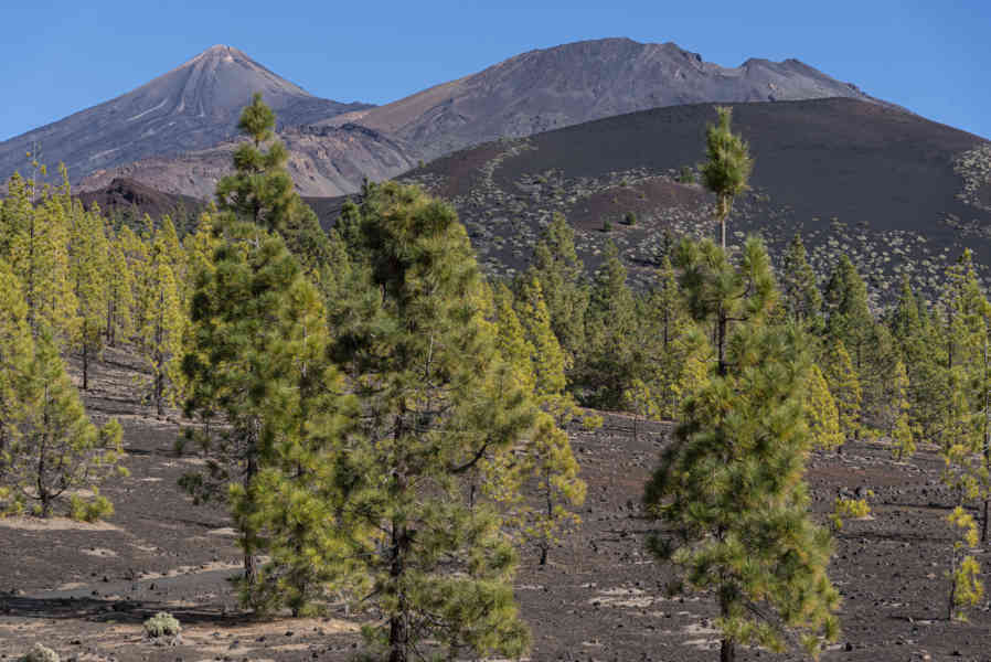 Tenerife 26 - parque nacional del Teide - volcanes Cumbre Vieja y Teide.jpg